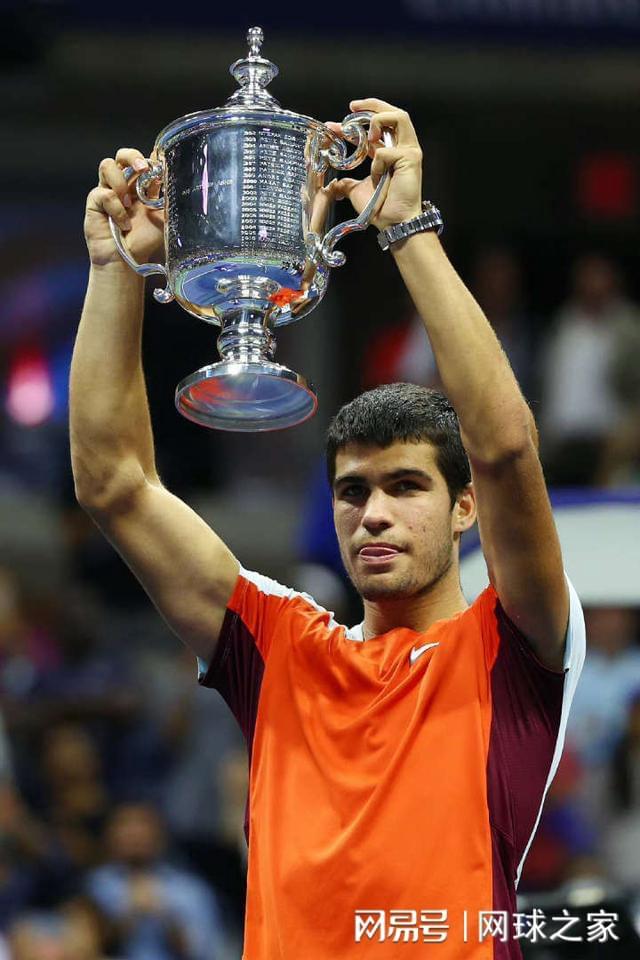 家分析认为 家分析认为